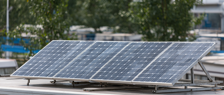 沃土育壮苗——广东新质生产力加速发展