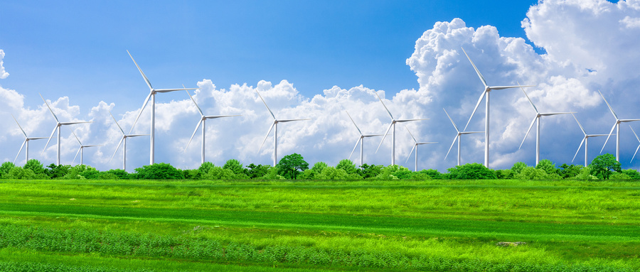 甘肃电力现货市场平稳运行助力新能源消纳显著提升